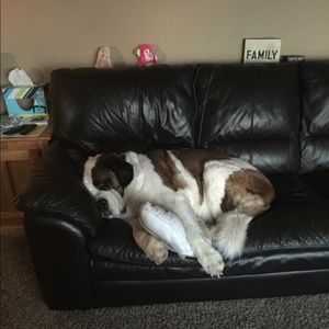 Meet your Posher, Dalton